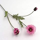 2 Blüten, 1 Knospe, 3 Blätter