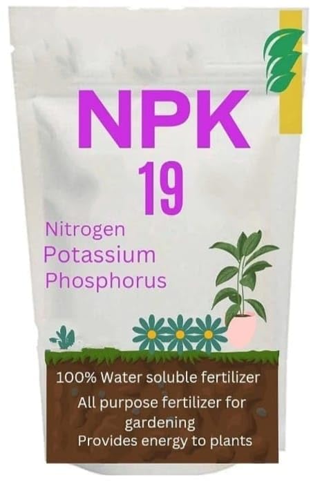 Fertilizer Powder For Indoor And Outdoor Plants, 1Kg, Npk 19-19-19 Formula (0.500) (B0D54MZFQT) Amazon Price History, Amazon Price Tracker