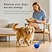 Shepatio Hundespielzeug - Interaktiver Hundeball, Self Moving Dog Ball für Hunde, Intelligentes Hundespielzeug mit 3 Spielmodi, Geburtstagsgeschenk, USB Wiederaufladbar (Blau)