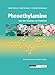 Produktbild Phenethylamine: Von der Struktur zur Funktion