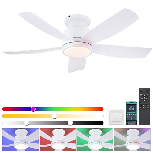 Ceiling Fans with Lights and Remote/APP Control, 41" Low Profile