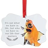 Butterfly Telescope Goldfish Christmas Ornament Its Not About What We Have in Life Pet Memorial Quote Benelux Aluminum Xmas Tree Decor Keepsake Gifts for Goldfish Lovers