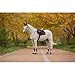 LeMieux Loire Classic Close Contact Square Saddle Pad - Saddle Pad for Horses - Equestrian Riding Equipment and Accessories - Navy/Cranberry - Large