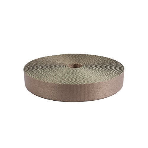 Strapworks Colored Picture Quality Polyester Webbing - Strap For Outdoor Activities, Crafts, Dog Leashes - 1 Inch x 10 Yards, Tan