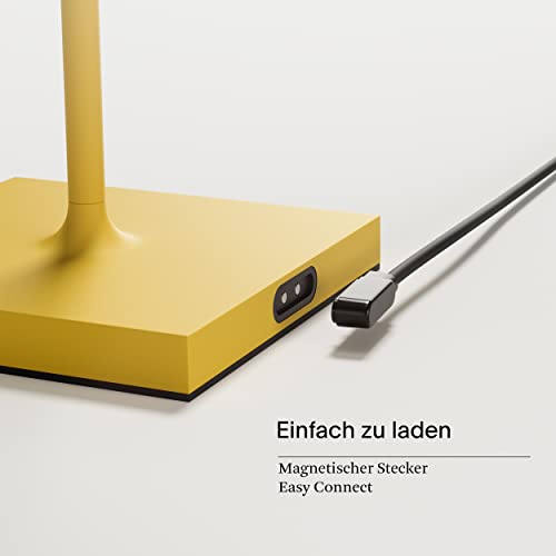 SIGOR Nuindie - Lampada da terra a batteria LED