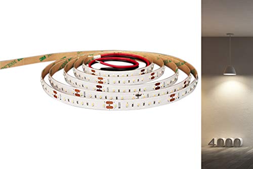 24v 48w 9,6w/m SMD 1808 LED Strip Streifen Leiste Strip 5m Rolle 600 LED 9,6w Cri >90 (neutralweiss 4000k, Innenbereich IP20) Cover