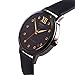 ORIENT Fashionable Automatic Sapphire Crystal Watch ER2H001B