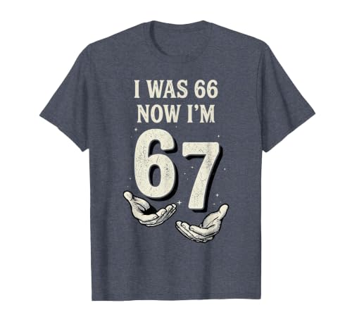 I was 66 Now Im 67 Year Old Funny 67th Birthday Six Seven T-Shirt, Men, Heather Blue, 4X-Large