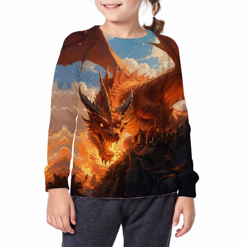 Boy's Comfy Print 3D Fire Dragon Sport Long Sleeve Crew Neck Sweatshirt With 6-14 Years2