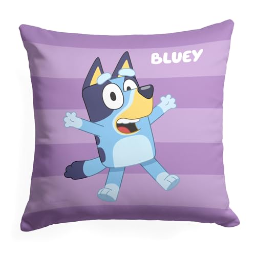 Northwest Pillow, 18' x 18', Roll Call Bluey