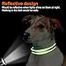Joytale Halsband Hund, Gepolstertes Hundehalsband Breit aus Neopren Nylon Hundehalsband Verstellbar für Mittelgroße Hunde, Weich und Reflektierend Hundehalsbänder, M, Grün