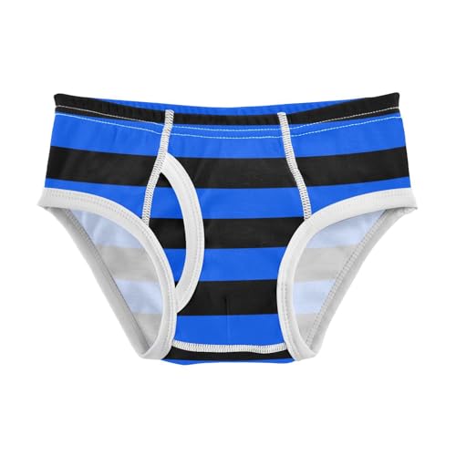Black Blue Stripe Toddler Boy's Underwear 2T