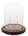 Pocket Watch Glass Display Dome with Walnut Base