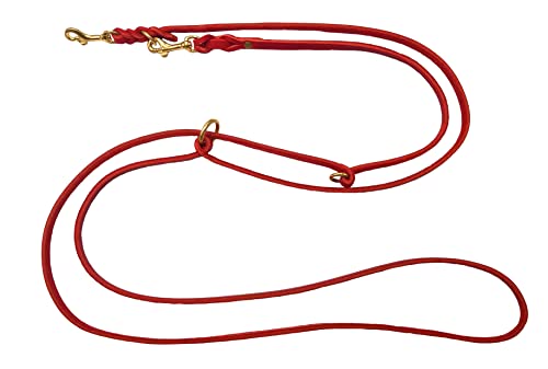 Hundeleine Fettleder Messing kleine Hunde/große Hunde 2m / 2,40m / 2,80m / 3,50m / 5m Doppelleine verstellbar (2m X 8mm, Rot)