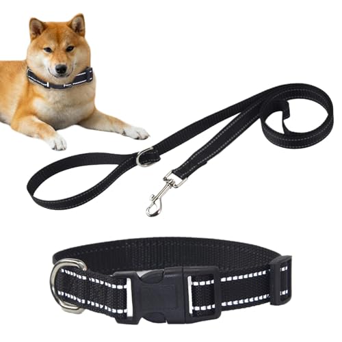 ݂ƃ[VZbg - ̋݃Zbg | ^ё^p[h ˉO[v ˌ̃[VZbg | ^pё^p[V ˌ̃[Vƒ\ȃybgn[lX