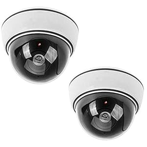 BW 2x Outdoor Indoor Fake Imitation IR Dome CCTV Blinking Red LED Flashing Light Surveillance Security Dummy Camera with Warning Sticker – White