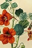 Vintage Floral Nasturtium Print Journal/Notebook