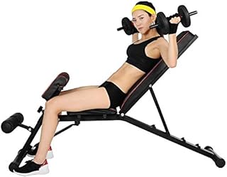 Byakns Hogar o comercial Pierna Músculo Fitness MaterialxInqinghao Banco de mancuerna ajustable Silla Romana Silla Supina Ejercicio Banco Silla de cintura abdominal Taburete de extensión de entrenamie