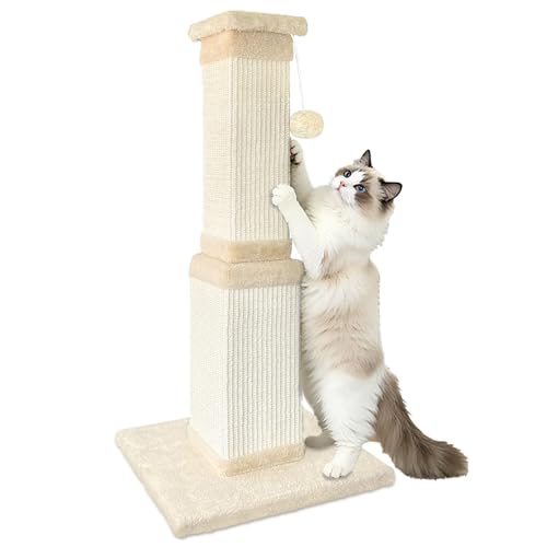 Kratzsäule für Katzen 81 cm Kratzstamm aus Sisal und Holz Katzen Kratzpfosten für große Katzen und Wohnungskatzen Breite Basis Beige