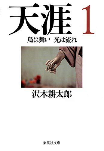 天涯 1 鳥は舞い 光は流れ (集英社文庫)