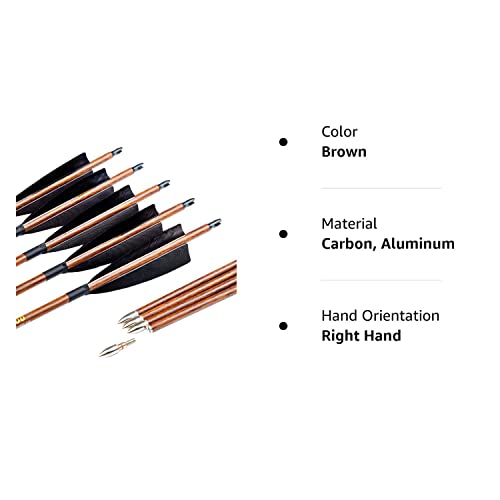 Pinals Archery Traditional Arrows 300 400 500 600 Spine Turkey Feather 32 Inch Carbon Shafts For Recurve Longbow Compound Bows Hunting Targets 12Pcs(Brown 400) #TOP7
