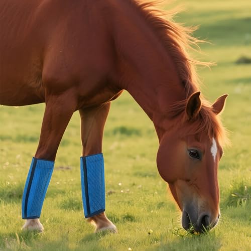 Image of Horse Fly Boot,Loose Fitting Fly Boots for Horses Set of 4,Leggings for Horse Design Protect Horses Legs No More Horsefly Nuisance Greatly&Reduce Stressful Stomping,Breathable /Universal