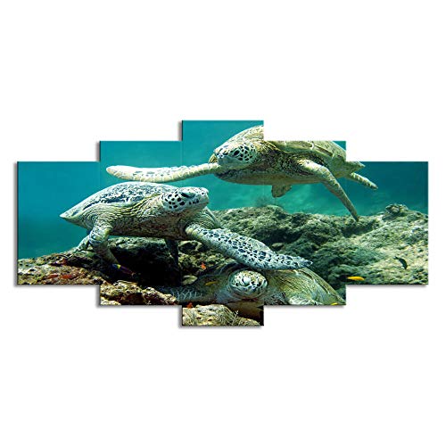Cuadros Modernos 5 Pinturas De Lienzo Combinadas, Pinturas De Tortugas De Vida...