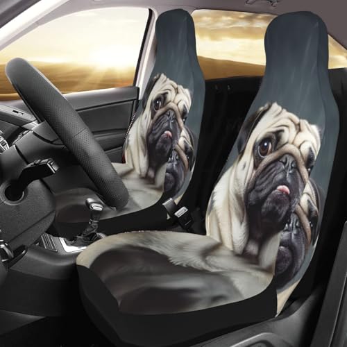 Housse de siège de voiture pour voyager avec son chien carlin