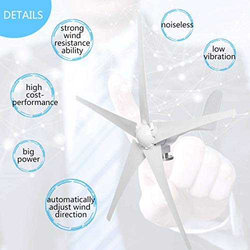 TQ 8000W Wind Turbines Generator, 12V/24V 3/5 Blades Horizontal Wind Generator with Controller Windmill Energy Turbines Charge,24v,5 Blades