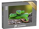 puzzleYOU