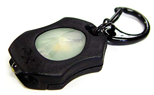 Lri Blxmw Black Case X-Light Micro Flashlight #TOP4