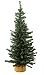 Vickerman 9227918 Unlit Mini Pine Artificial Village Christmas Tree, 18"