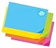 Pacon 100 30 x 45 cm Super Hell Tag Board, Pink/Lime/Orange/Blau/Gelb