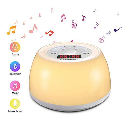 Portable Wireless Bluetooth Speakers with Wake Up Alarm Clock Light,Built-in Microphone Bluetooth 4.2+EDR