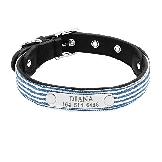 GZSC justerbar valp hund katt halsband personlig graverad husdjur hund ID-bricka halsband för små katter hundar anpassade chihuahua strass halsband, M, 6
