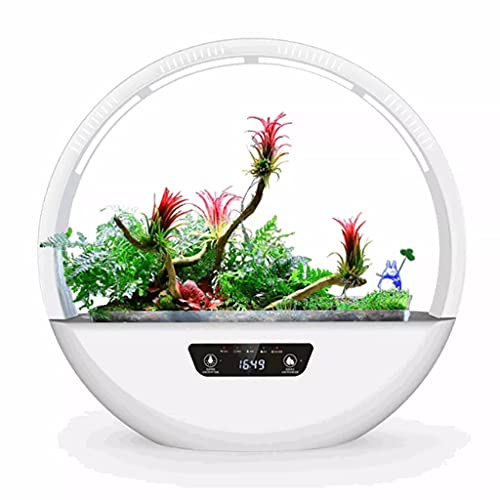 NYZABDL Mini Cesta Inteligente para Plantas, Cesta de Flores, decoración de riego automático, purificación de Aire, Hierba de Escritorio para Oficina