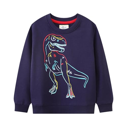 Boys Sweatshirts Casual Sweatshirts Cotton Sweatshirts Long Sleeve T-shirts Crew Neck Cartoon Tops for Boys-162
