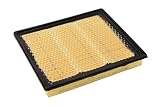 ACDelco GM Original Equipment A3175C (20972655) Air Filter