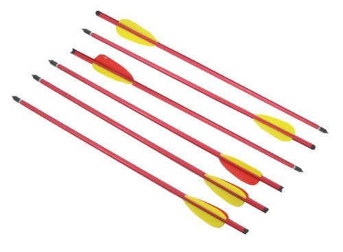 Last Punch 6 Aluminum Metal Arrows 14