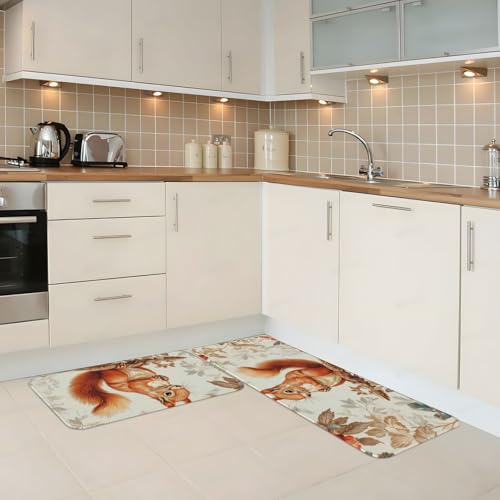 Tapetes de cocina para suelo con diseño de ardilla ideales para lavandería 3