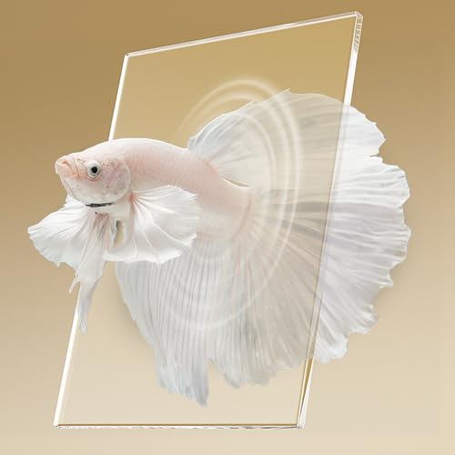 Mini aquarium Betta avec lampe LED intégrée pour bureau et maison - 7