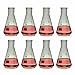 TN Lab Erlenmeyer Conical Borosilicate Glass Flask 250ml (8)