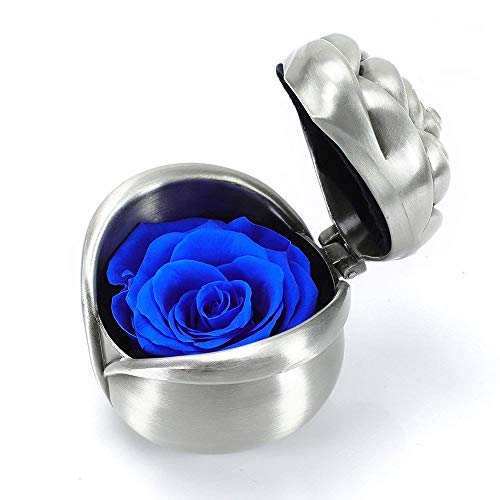 ALLOMN a préservé Le Cadeau de Rose, Cadeau pour Elle, Saint Valentin, Cadeaux Faits Main Exquis de Roses fraîches exquises, Fleurs Immortelles Haut de Gamme, Cadeau (Bleu)