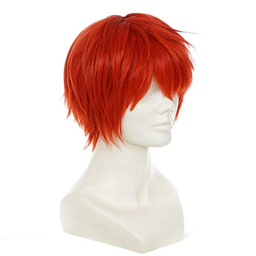 Amazon.co.jp: Fate/stay night 衛宮士郎/暗殺教室 赤羽 業 コスプレ