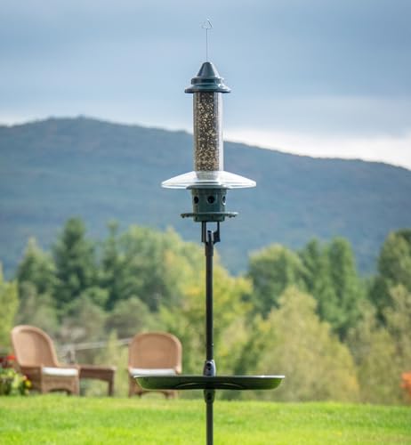Squirrel Buster Plus Podium, Ultimate Squirrel-Proof Bird Feeding Station, Includes Plus Bird Feeder, Weather Guard, Pole Adaptor, BirdsUP Single Pole and Seed Catcher Tray