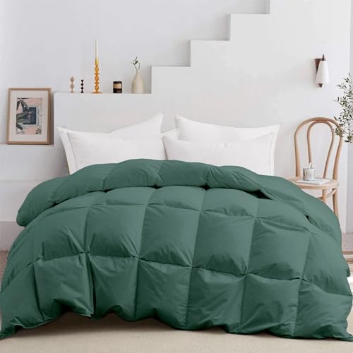 Bed Bath & Beyond All Season Cotton Down and Feather