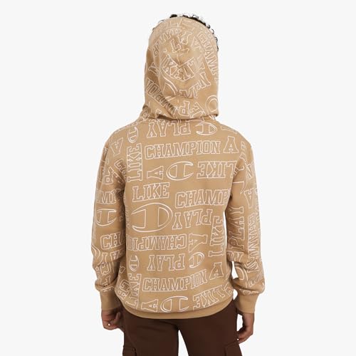 Image of Champion boys Graphic Hoodie Pullover Sweatshirt for Kids With Stylish Embellishments
