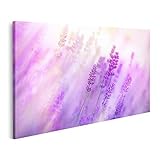 Format : 80 x 40 cm islandburner Tableau sur toile - Champ de brouillard - Lavande - Belle pour salon, chambre à coucher, cuisine, maison, bureau - GAUQ-1Kx