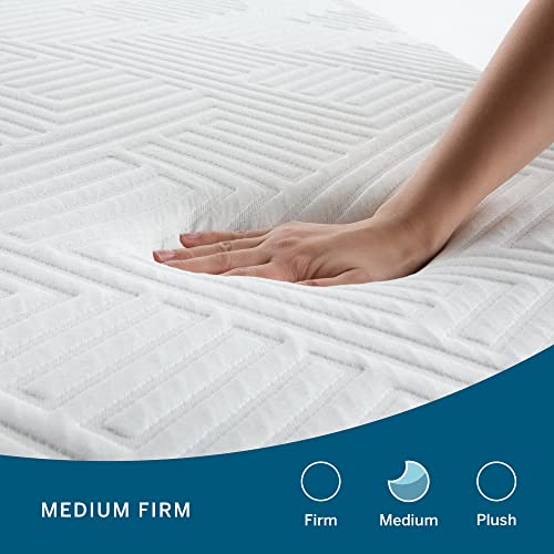 Image of LUCID 10 Inch Latex Hybrid Mattress - Responsive Latex Foam and Encased Springs - Medium Firm Feel - Motion Isolation - Edge Support - Gel Infused - Pressure Relief - Bed in a Box - Queen Size