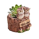 Cute Flower Pots | Rustic Resin Owl Small - Decorative Flower Pots Animal Figurines | For Key Pen Stationery Jewelry Indoor Bedroom Living Room Entryway Office School